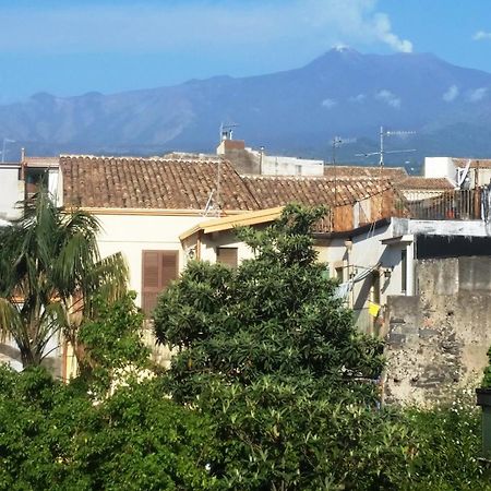 Tortugas B&B Giarre Luaran gambar